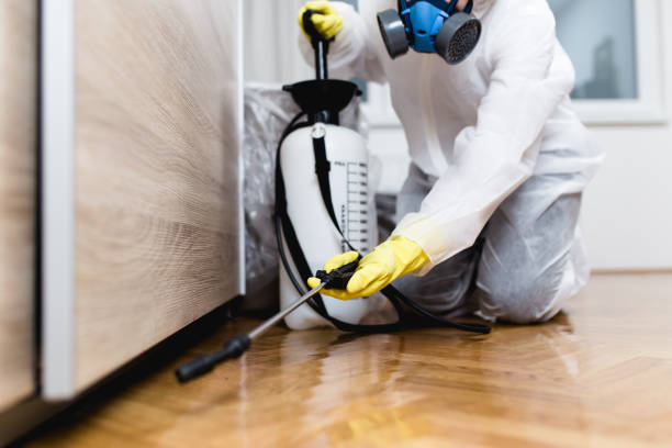 Best Cockroach Control Services  in Carthage, IL