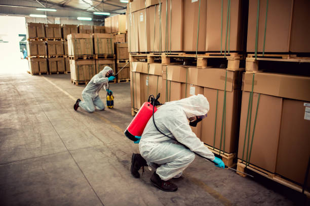 Best Best Pest Control Companies  in Carthage, IL