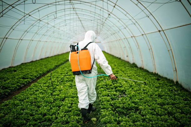 Best Pest Control Near Me  in Carthage, IL