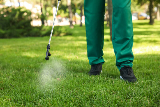 Best Wasp Removal Services  in Carthage, IL