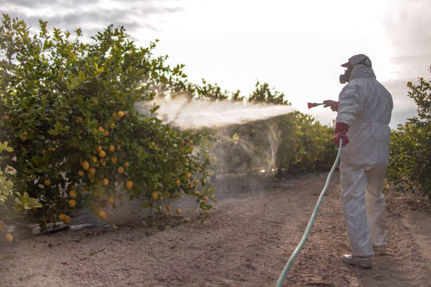 Best Best Pest Control Companies  in Carthage, IL