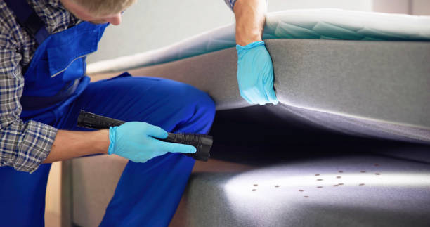 Best Emergency Pest Control  in Carthage, IL