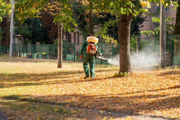 Best Pest Control Near Me in Carthage, IL