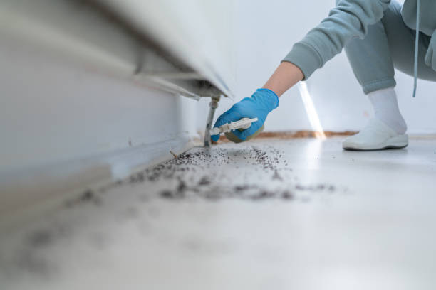 Wildlife Control Services in Carthage, IL